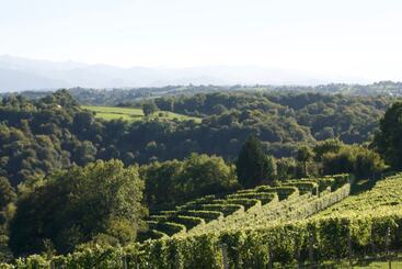 Clos Mirabel Manor   B&b