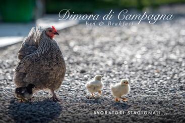 צימר Dimora Di Campagna