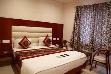 Hotelli Plaza Saphire At New Delhi Railway Station
