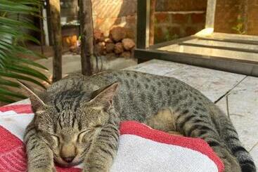 Lomakeskus Wellness Inn