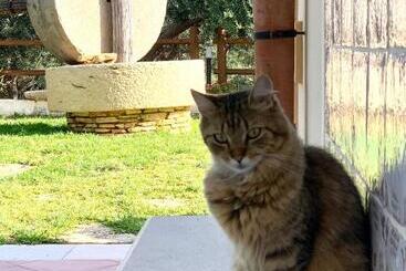 Casale La Macina Hotel & Residence