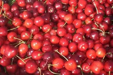 Bed and Breakfast I Ciliegi