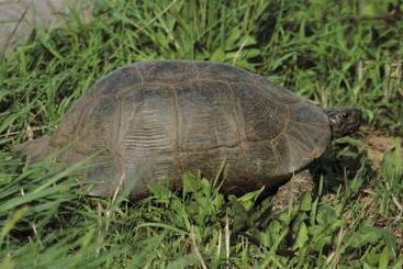 ベッドアンドブレックファースト Conca Marina