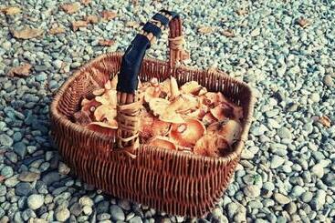 ペンション Relais De Laval