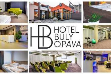 בית מלון כפרי Buly Opava