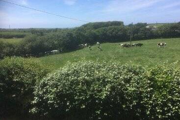 Copps Castle Bed & Breakfast