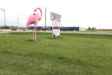 Flamingo Motel Marshalltown