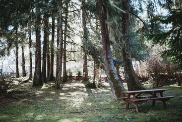 מוטל Port Hardy Cabins