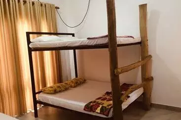 Jungle City Hostel