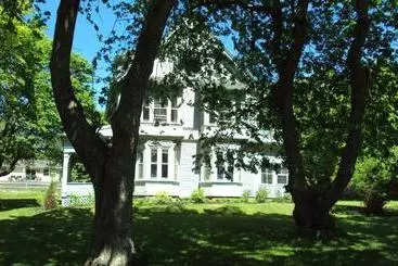 Bed & Breakfast The Library Inn