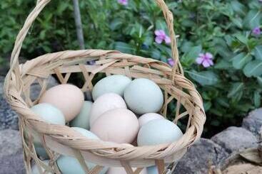 ホテル Undo Resort