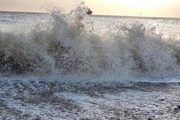 Otel Twin Palms Guesthouse