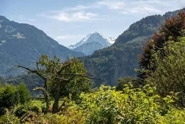 Hotelli Salzano Basic Rooms Interlaken