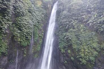 Bed and Breakfast Da Kayu Bali Homestay