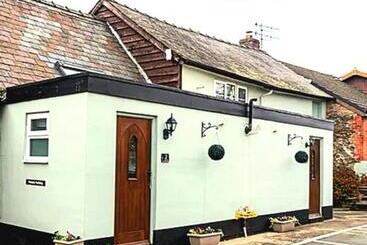 Hostal Curly Tail Accommodation