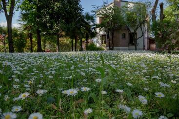 مبيت وإفطار Ca' Delle Palme
