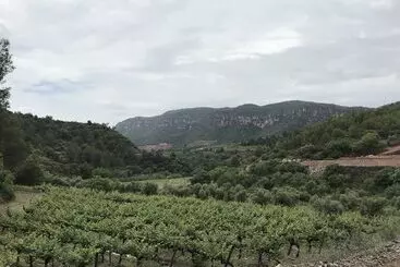 Terra Dominicata   Hotel & Winery   Adults Only