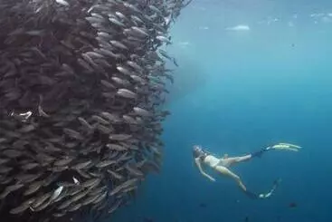 Hotel Six Senses Fiji