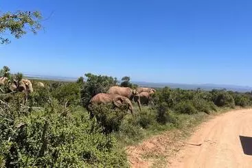 ペンション Beyond Cui Bono