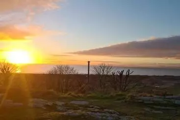 Majatalo Y Branwen Restaurant & Rooms   Adult Only And Dog Friendly