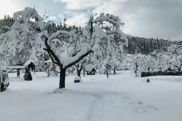 ホテル Pension Zechnerhof