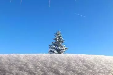 アパートホテル Garni