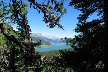 Appartement Sunnleitn