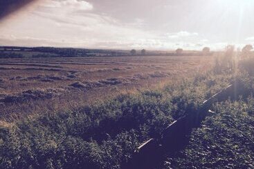 פנסיון Rolandscroft Guest House