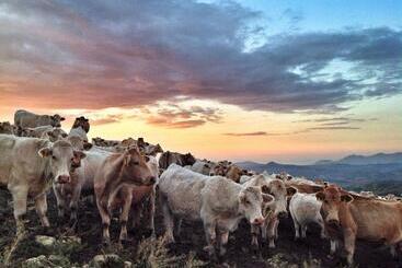 هتل Ridocco Agriturismo