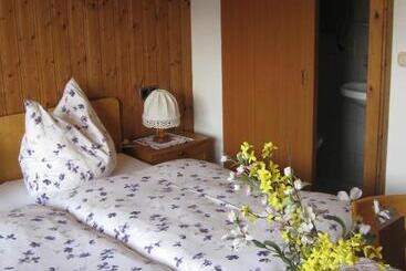 膳宿费 Haus Steinlechner