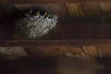 Pension La Trapería Hostal Pensión Con Encanto