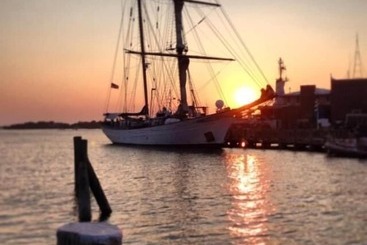 הוסטל Treehouse Lodge