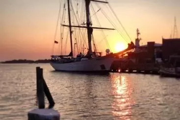 Retkeilymaja Treehouse Lodge