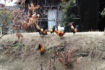 Hotel Nouka Minpaku Seiryuan