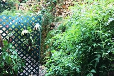 هتل Cabrera Chalet Boutique