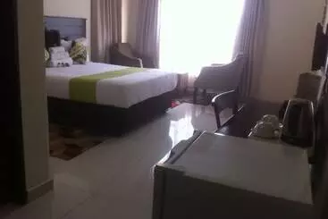 پانسیون Cycad Palm Guest House