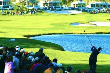 호텔 Springhill Suites By Marriott Tampa Suncoast Parkway