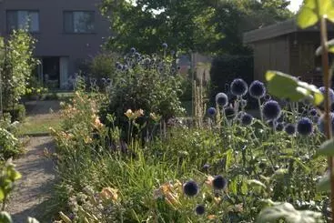 Barbara S Bed & Breakfast