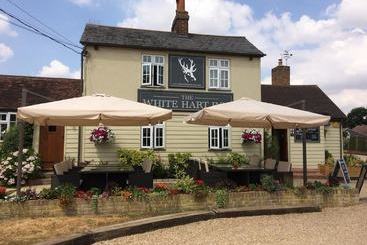 The White Hart B&b