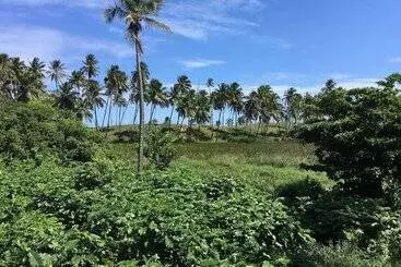 ペンション Pousada Brisa E Mar