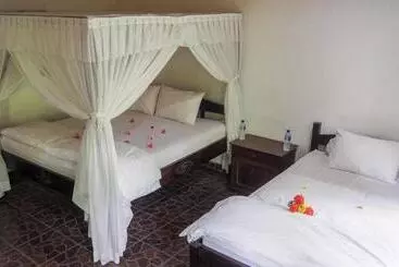 Bed and Breakfast Scuba Tribe Bali Dive Resort