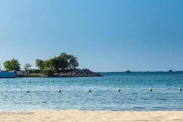 Deez Bed And Breakfast Ocho Rios