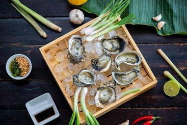 منتجع Escalade Experience