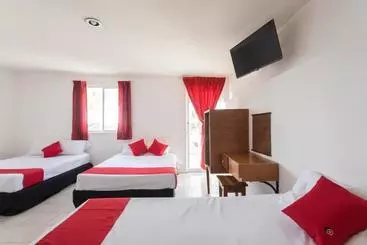 Hotel Cedros