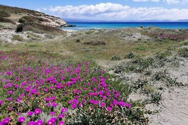 B&b Glamping Semaforo Capo Sperone