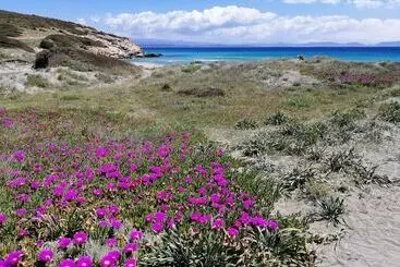 B&b Glamping Semaforo Capo Sperone