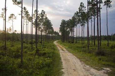 Курорт Coldwater Gardens