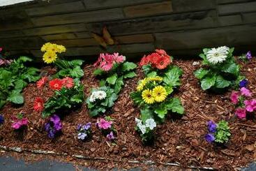 Marshall's Creek Rest Motel