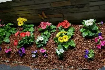 Marshall's Creek Rest Motel