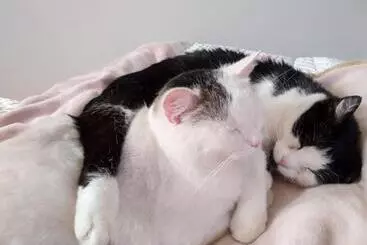 B&b Palazzo Mestichelli Boutique Palace